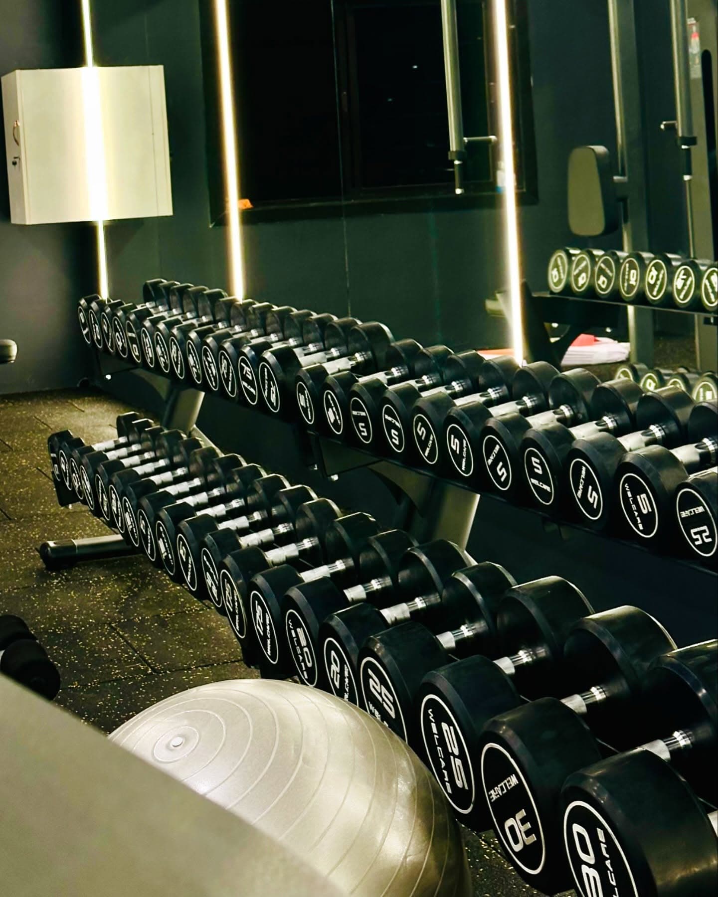 Dumbbell racks and free weights section with professional rubber flooring
